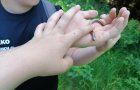 thumbnail -